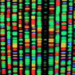 with-ai-spurring-researchand-paying-dividendsus-genesis-mission-gains-momentum