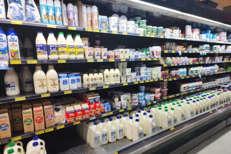 countrys-largest-dairy-processor-announces-factory-closure