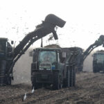 us-sets-2027-sugar-import-quotas-under-wto-commitments