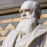 updating-darwin:-biologists-are-returning-to-an-older-theory-to-explain-anomalies-in-evolution