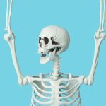 bones-are-much-more-dynamic-than-scientists-once-believed-they-even-have-a-daily-rhythm