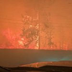 rcmp-investigate-possible-bc-wildfire-death-as-province-declares-state-of-emergency
