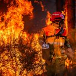 europes-wildfires-have-raised-the-danger-posed-by-unexploded-wwii-bombs