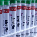 australia-to-roll-out-bird-flu-vaccines-for-native-species