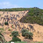 morocco-arrests-294-migrants-attempting-to-enter-spains-city-of-ceuta