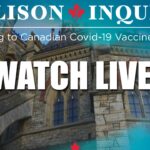 live-soon:-where-you-can-watch-the-allison-inquiry-hearings-online