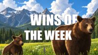 wins-of-the-week-141-with-ted-kuntz
