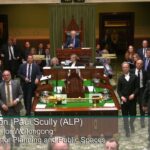 climate-activist-removed-after-disrupting-nsw-parliament