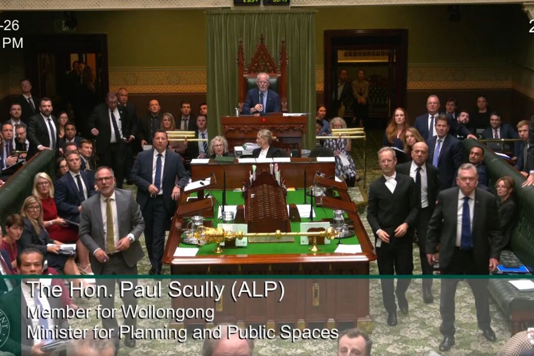 climate-activist-removed-after-disrupting-nsw-parliament