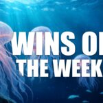 wins-of-the-week-146-with-ted-kuntz