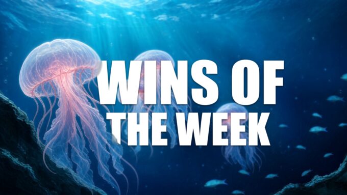 wins-of-the-week-146-with-ted-kuntz