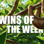 wins-of-the-week-148-with-glen-jung